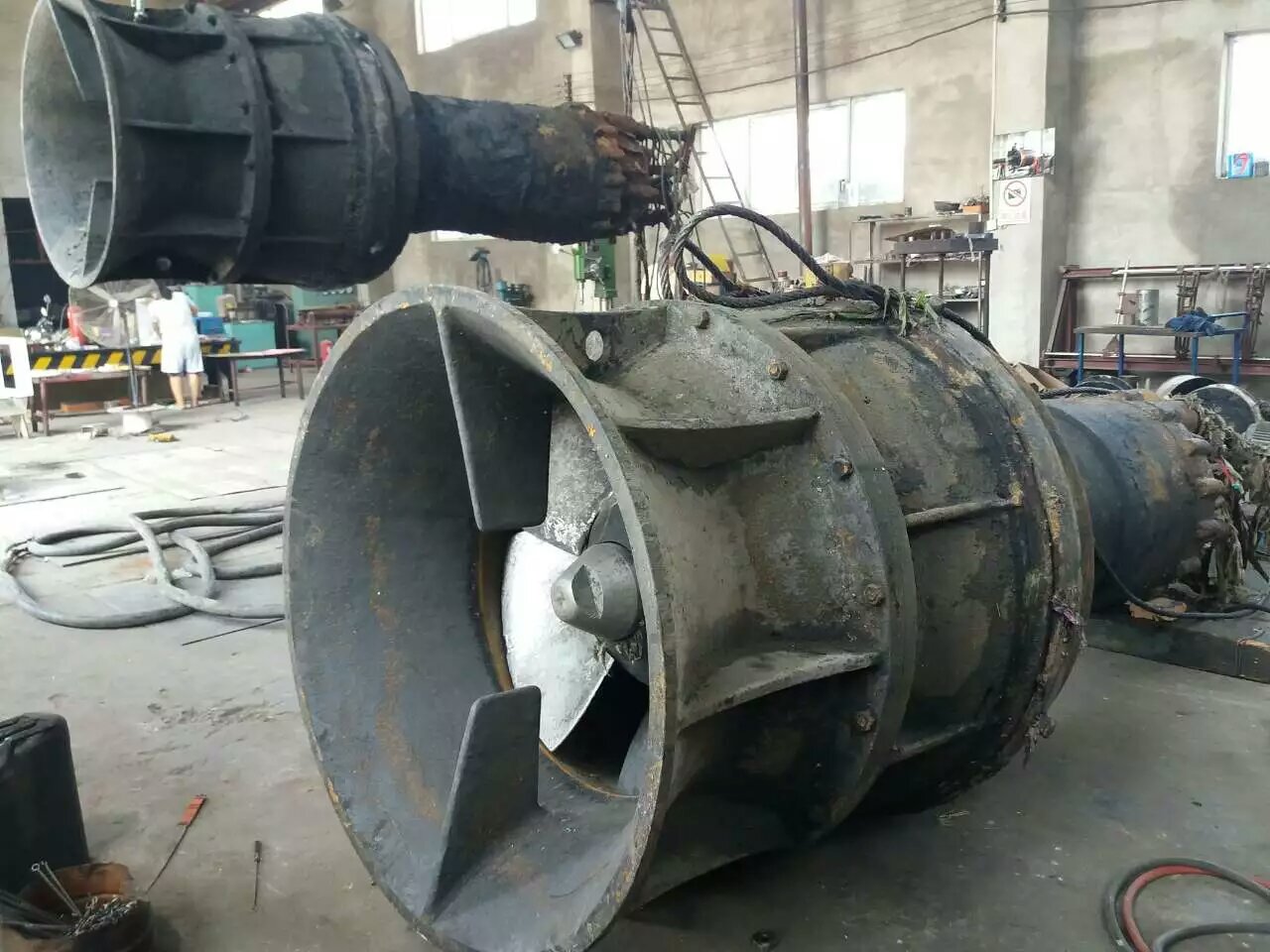 ���������þS��